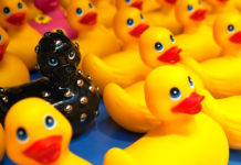 “Please Be Normal!” My Experience Working for NAMI A black rubber duck stands out among a group of yellow rubber ducks