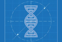 A ‘Blueprint’ for Genetic Determinism behavioral genetics