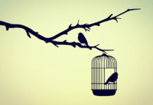 Peer Specialists in the Mental Health Workforce: A Critical Reassessment peer staff escaping coercive