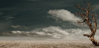 Loneliness Increases Risk of Severe ‘Common Mental Disorders’