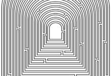 Functional Medicine: My Path Out of Psychiatry mental health maze