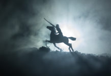 Fighting Unjustified Commitment in Wisconsin: Leslieās Story riding into battle against unjustified commitment