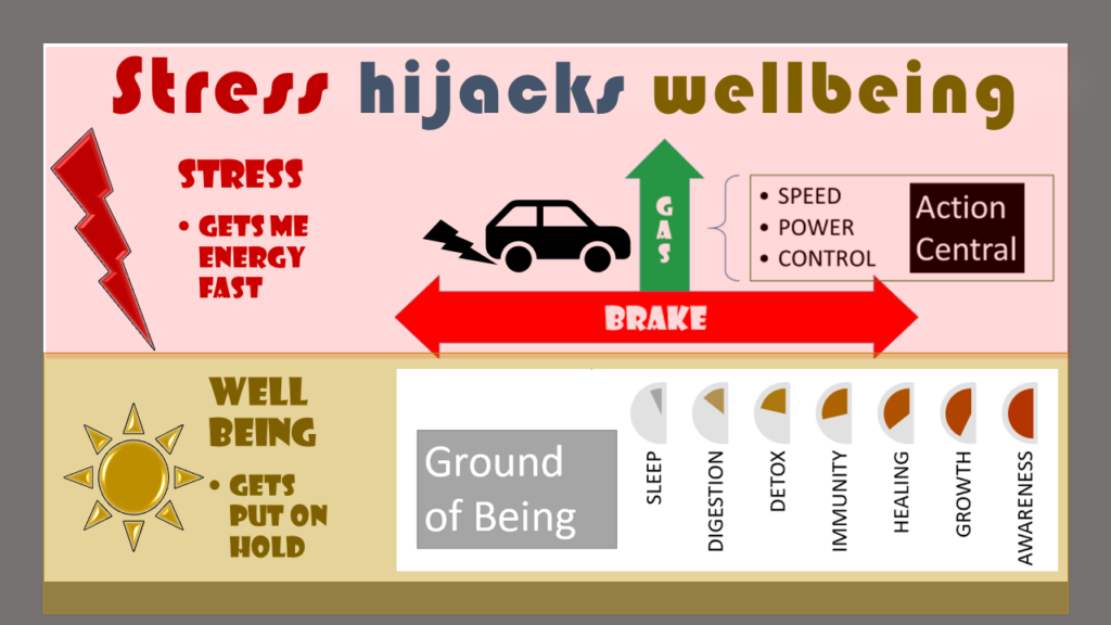 Stress hijacks wellbeing Stress gets me fast energy (Action central- speed power control) [image of lightning and speeding car/ gas brake] Well-being gets put on hold (Ground of Being- sleep, digestion, detox, immunity, healing, growth, awareness)