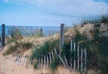 The Killing of Susan Kelly by Dorothy Dundas