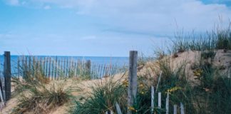 The Killing of Susan Kelly by Dorothy Dundas