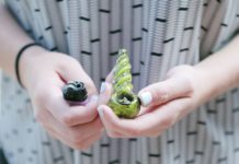 Parent Marijuana Use Associated With Substance Use in Children