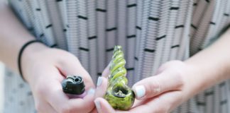 Parent Marijuana Use Associated With Substance Use in Children