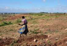 Exporting Psychological Concepts Associated With Gender May Have Unintended Consequences