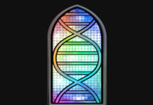 Got a Gene for That? The Latest from the Chronicles of Gene Worshiping gene church genetics