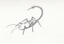 Rates of Opioid Use Remain High Among US Adolescents