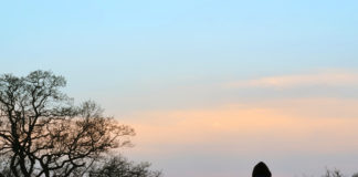 Involuntary Obedience: Rituals of Humiliation Disguised as ‘Care’ winter sunset psychiatric social control