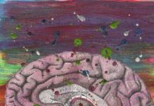 Researchers Fail to Predict Antidepressant Treatment Success colorful painting of brain