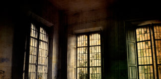 Nuanced History of Asylums Shows Context Matters