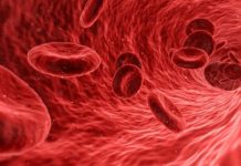The Hopkins Doctor Diagnoses Me by Ann Bracken