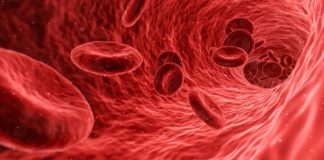 The Hopkins Doctor Diagnoses Me by Ann Bracken