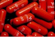 After Half My Life on Antidepressants, I’m Off the Meds and Feel All Right