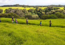 Ecopsychology: How Immersion in Nature Benefits Your Health