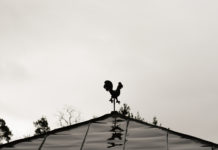Observations From an Open Circle black-and-white weathervane photo
