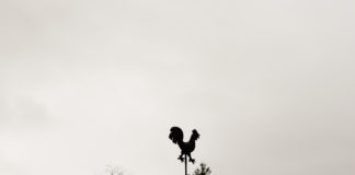 Observations From an Open Circle black-and-white weathervane photo