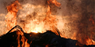Mental Hell-Care: My Sibling’s Story fire