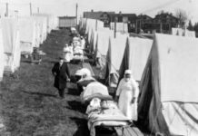 Coronavirus and the Sun: a Lesson From the 1918 Influenza Pandemic