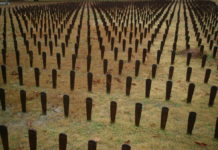 Narrating Asylum History Through an Anti-Racist Lens: An Interview with Author Mab Segrest Rows and rows of metal markers commemmorating unmarked patient graves.