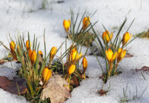 Awakening: Shedding the “Mentally Ill” Identity and Reclaiming My Life