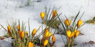 Awakening: Shedding the “Mentally Ill” Identity and Reclaiming My Life