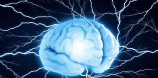 brain