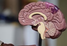 Chaos Theory With a Human Face: Niall McLaren, MBBS, FRANZCP