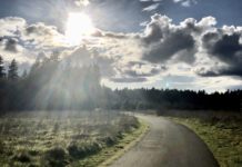 A Bridge Over Troubled Water: What’s This About Being a Hopeless Reformer?