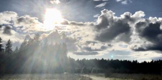 A Bridge Over Troubled Water: What’s This About Being a Hopeless Reformer?