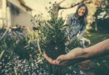 Moving Mental Health Recovery Toward Meaningful Participation