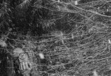Mental Health in the Age of Coronavirus