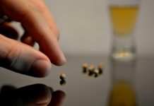 Antipsychotic Trials Show Increasing Placebo Response and Declining Drug Response