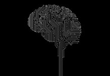 Why Your Brain Is Not a Computer