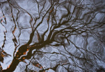 How Mental Health Syndromes Arise From Social Change