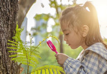 Worried About a Coronavirus Summer Slump? Boost Kids’ Brainpower With Nature
