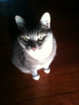 Kaila Mylie kailamylie16049 on Pinterest Kaila Mylie kailamylie16049 on Pinterest