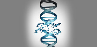 Behavioural Geneticist Robert Plomin: “There Are No Disorders, There Are Just Quantitative Dimensions” biogenetic