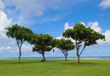 Indigenous Approaches to Suicide Prevention May Offer Advantages Over Mainstream Models