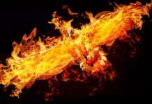 The Rebirth of People and Planet in a Time of Global Emergency: An Open Letter and Petition from the Spiritual Emergence(y) Community
