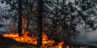 Will the Mental Health Industry Undermine the Community-Based Climate Change Revolution?