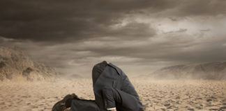 The Spin Doctors: “ADHD” Research