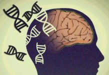 Genetic Testing Clinically Useless for Predicting Psychiatric Diagnoses