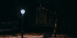 Looking Under the Lamppost: Confinements of the Prevailing Mental Health Paradigm