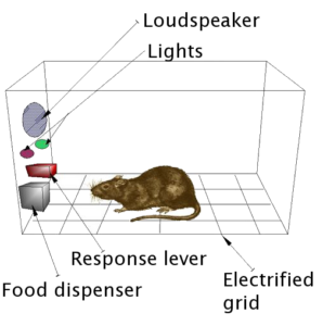 diagram of a Skinner box