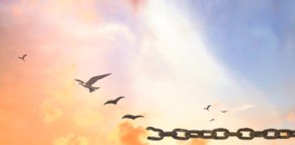 CRPD Consultation on Deinstitutionalization: A Reparations Approach