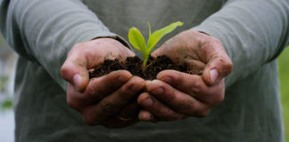 Insane Medicine: Epilogue