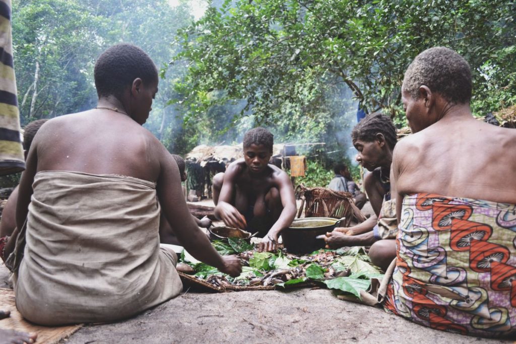 The Mbendjele people (Photo by Camille Oloa-Biloa)